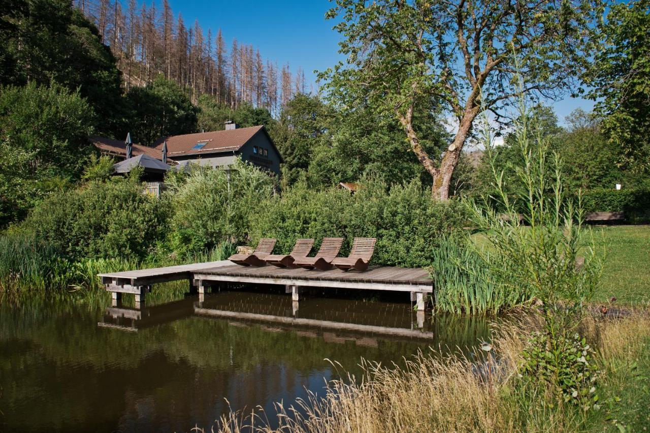Tiny House Nature 17 - Green Tiny Village Harz Osterode am Harz 外观 照片