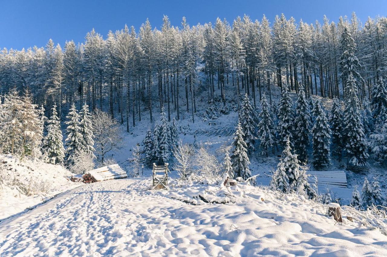 Tiny House Nature 17 - Green Tiny Village Harz Osterode am Harz 外观 照片
