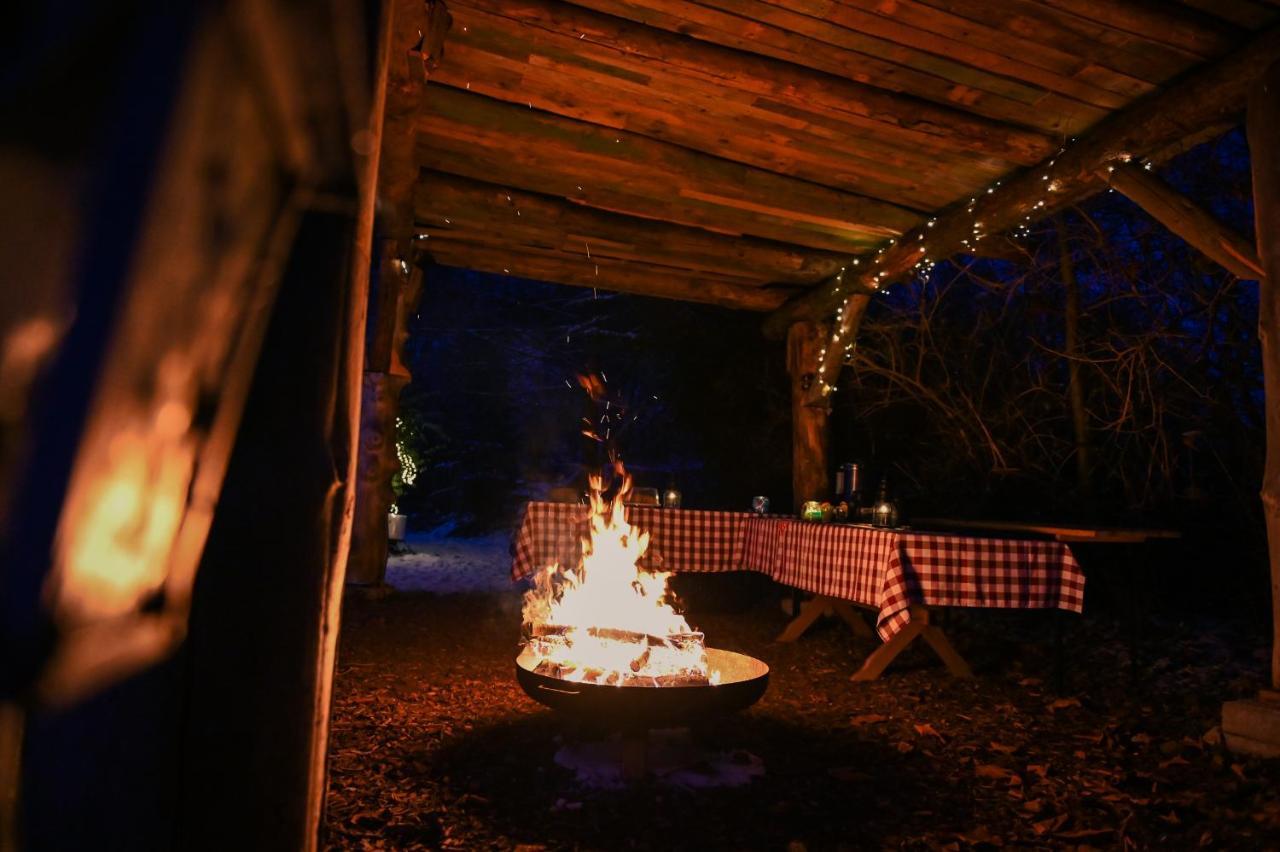 Tiny House Nature 17 - Green Tiny Village Harz Osterode am Harz 外观 照片